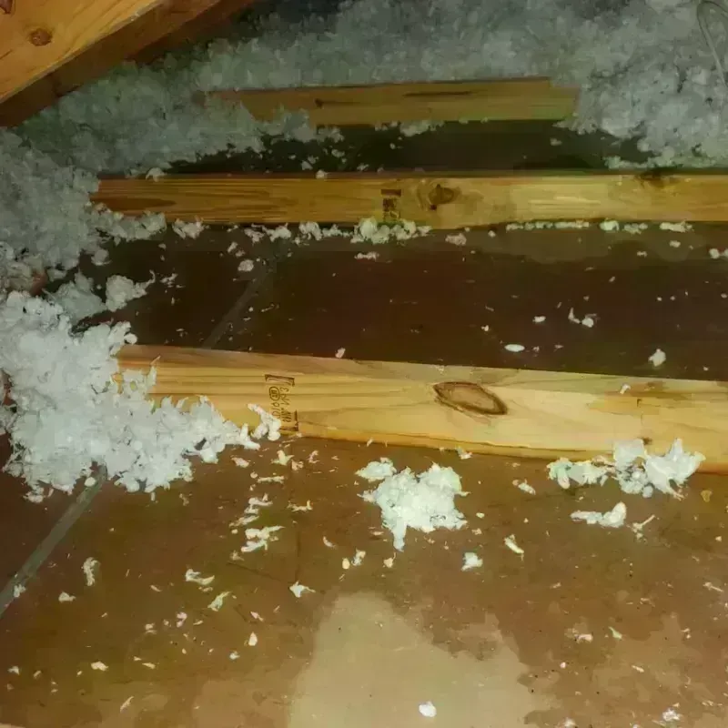 Attic Water Damage in Amelia, OH